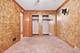 19816 Lakewood, Lynwood, IL 60411