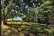 940 Burnham, Aurora, IL 60502