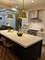 2009 Dewes, Glenview, IL 60025