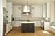2009 Dewes, Glenview, IL 60025