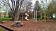 404 Melrose, Tower Lakes, IL 60010