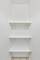6209 S Dorchester Unit 1, Chicago, IL 60637