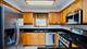 407 S Oak Park Unit A, Oak Park, IL 60302