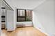 221 E Walton Unit 5B, Chicago, IL 60611