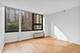 221 E Walton Unit 5B, Chicago, IL 60611