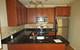 3711 N Kenneth Unit 220, Chicago, IL 60641