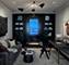 9 W Walton Unit 1201, Chicago, IL 60610