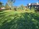 955 E Red Oak, Addison, IL 60101