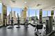 535 N Michigan Unit 3007, Chicago, IL 60611