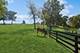31668 River, Libertyville, IL 60048