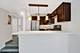 230 E Ontario Unit 1204, Chicago, IL 60611