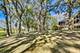 132 N Wynstone, North Barrington, IL 60010