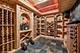 1133 Wildwood, Glenview, IL 60025