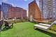 300 W Grand Unit 309, Chicago, IL 60654