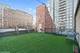 300 W Grand Unit 309, Chicago, IL 60654