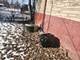 315 W 109th, Chicago, IL 60628