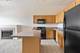 1000 E 53rd Unit 523, Chicago, IL 60615