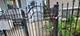 1837 N Albany, Chicago, IL 60647
