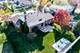 19533 Brookfield, Tinley Park, IL 60487