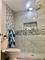 201 Thames Unit 2M, Park Ridge, IL 60068