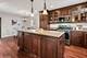 5015 N Mobile, Chicago, IL 60630