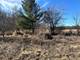 14120 Baltic, Lemont, IL 60439