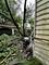 11641 S Sangamon, Chicago, IL 60643
