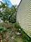 11641 S Sangamon, Chicago, IL 60643