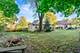 629 N Madison, Woodstock, IL 60098