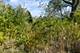 2519 N Ringwood, Mchenry, IL 60050