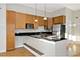 1511 N Paulina Unit N, Chicago, IL 60622