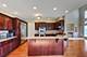 6878 Fieldstone, Burr Ridge, IL 60527