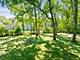 3102 White Oak, Oak Brook, IL 60523