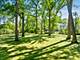 3102 White Oak, Oak Brook, IL 60523