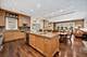 2210 N Orchard, Chicago, IL 60614