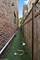 1444 W Cuyler, Chicago, IL 60613
