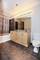1620 S Michigan Unit 525, Chicago, IL 60616