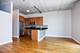 1620 S Michigan Unit 525, Chicago, IL 60616