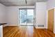 1620 S Michigan Unit 525, Chicago, IL 60616