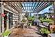 2141 Langford, Wheaton, IL 60189