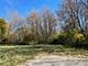 Lot 100 South, Elgin, IL 60124