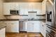 1041 Ridge Unit 303, Wilmette, IL 60091