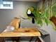 1709 16th, North Chicago, IL 60064