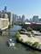900 N Kingsbury Unit 1004, Chicago, IL 60610