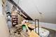 5338 S Wood, Chicago, IL 60609