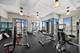 2 E Erie Unit 2008, Chicago, IL 60611