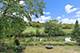 471 Ford, Bartlett, IL 60103