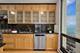 100 E Bellevue Unit 17B, Chicago, IL 60611