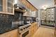 100 E Bellevue Unit 17B, Chicago, IL 60611