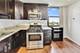 3001 S Michigan Unit 2102, Chicago, IL 60616